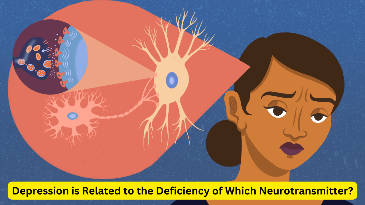 Neurotransmitter