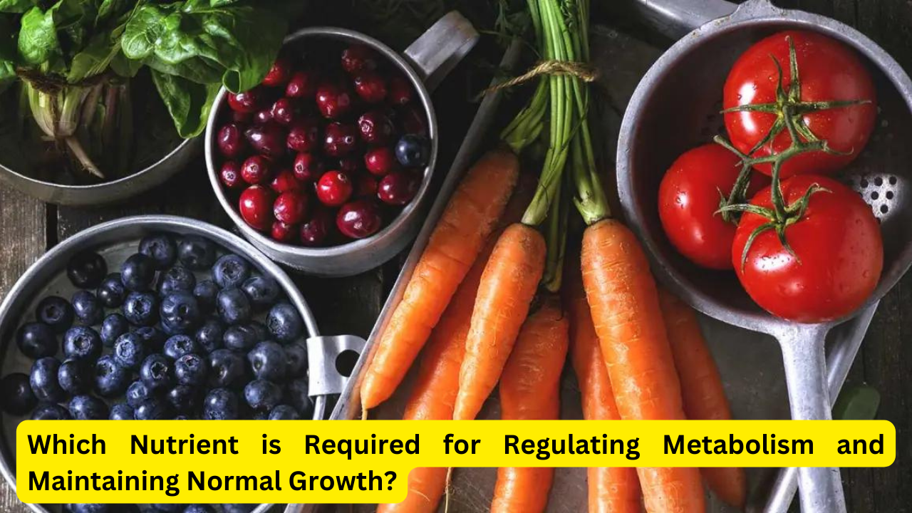 Nutrient is Required for Regulating Metabolism and Maintaining Normal Growth