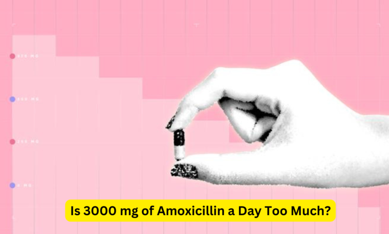 Is 3000 mg of Amoxicillin a Day Too Much