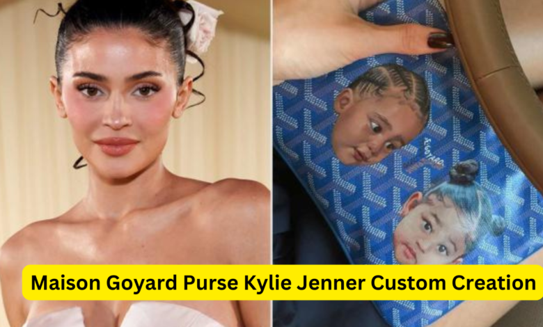 Maison Goyard Purse