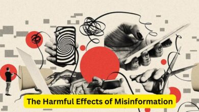 The Harmful Effects of Misinformation