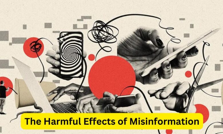 The Harmful Effects of Misinformation